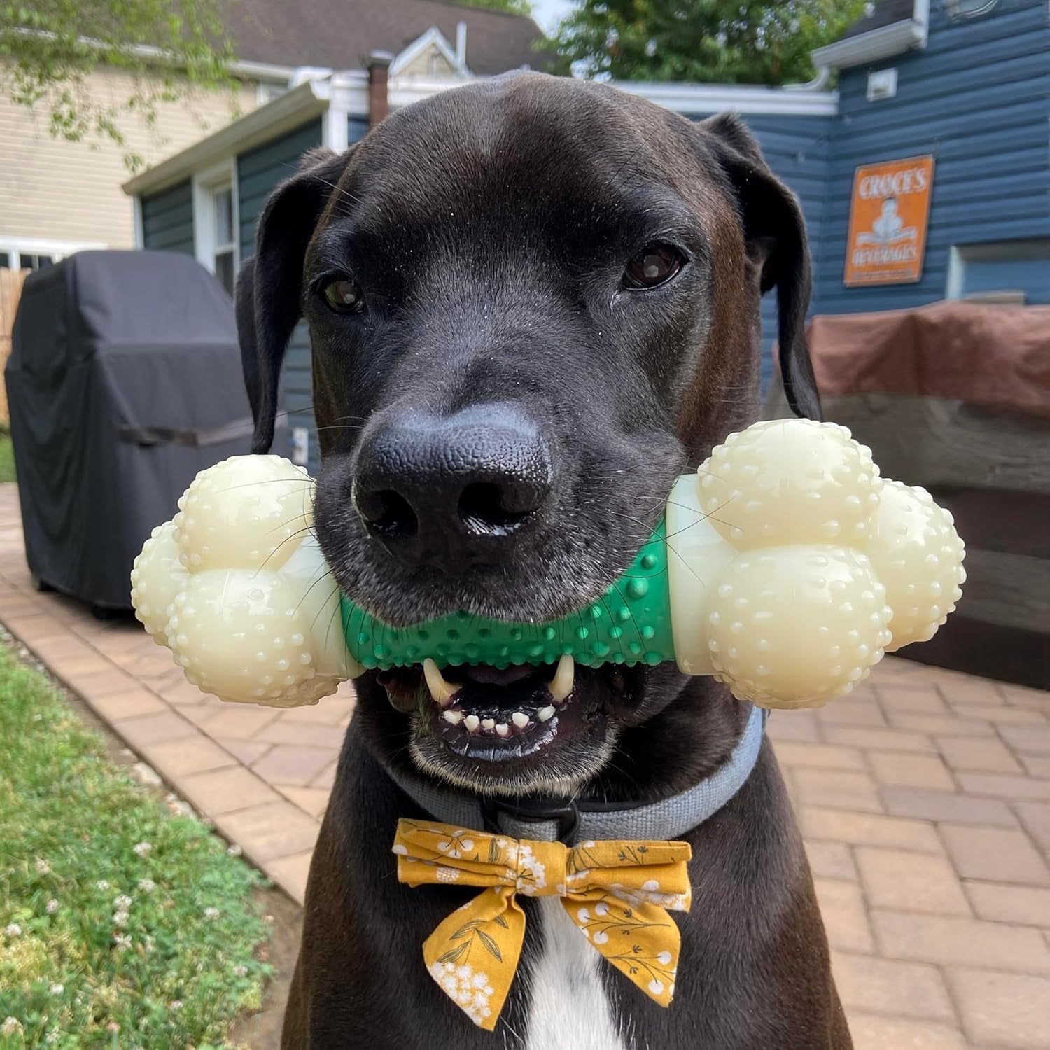 Ultimate Power Chew Double Action Bone Toy for Aggressive Chewers - Irresistible Bacon Flavor for X-Large Dogs 50+ lbs